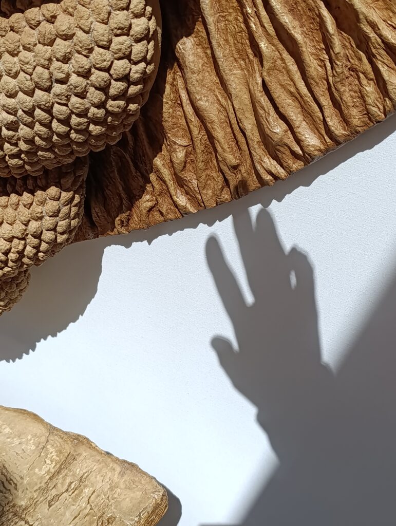 Sculptural installation revealing shifting shadows and material depth.
