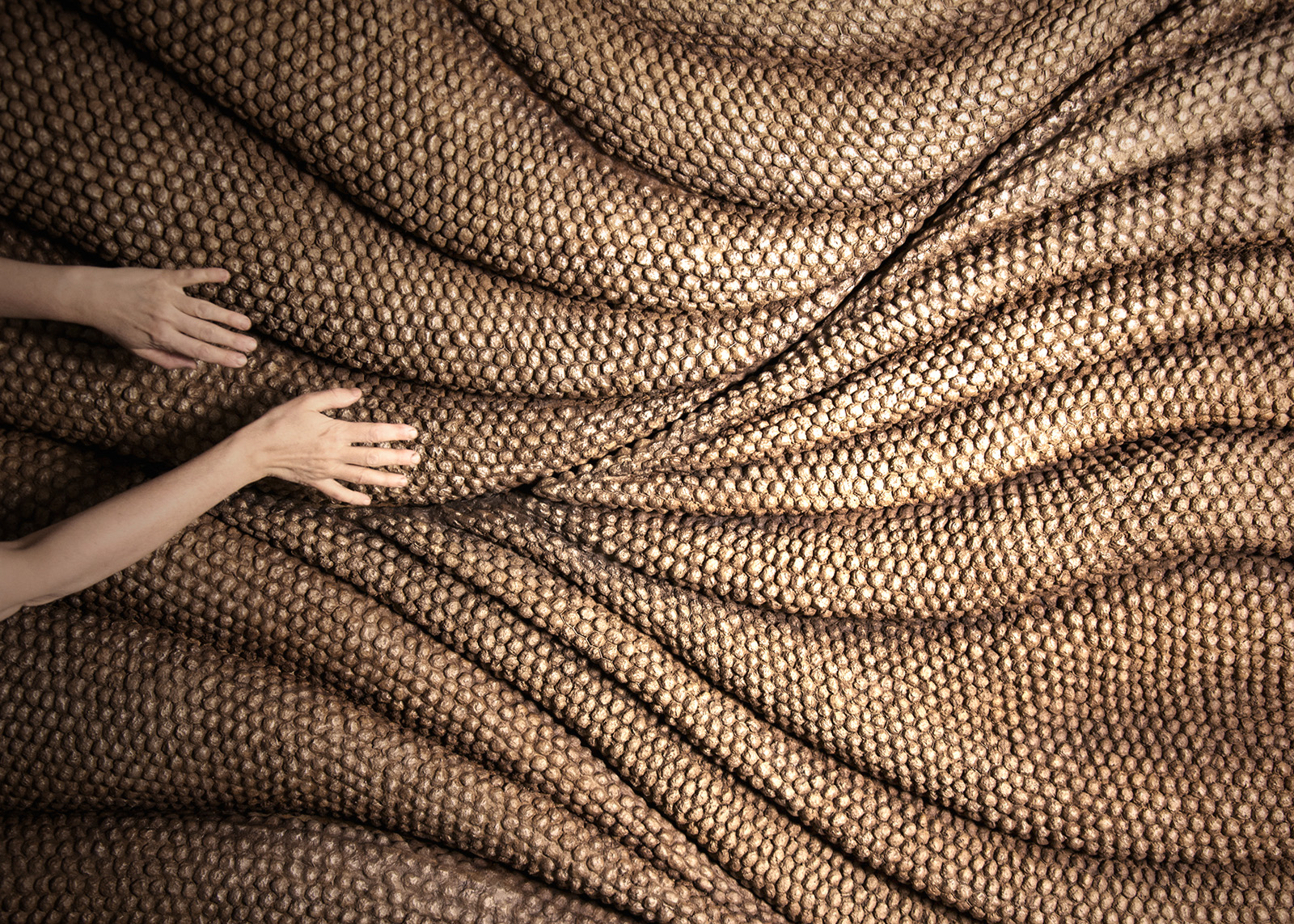 Sculptural matter shaping immersive interior environments