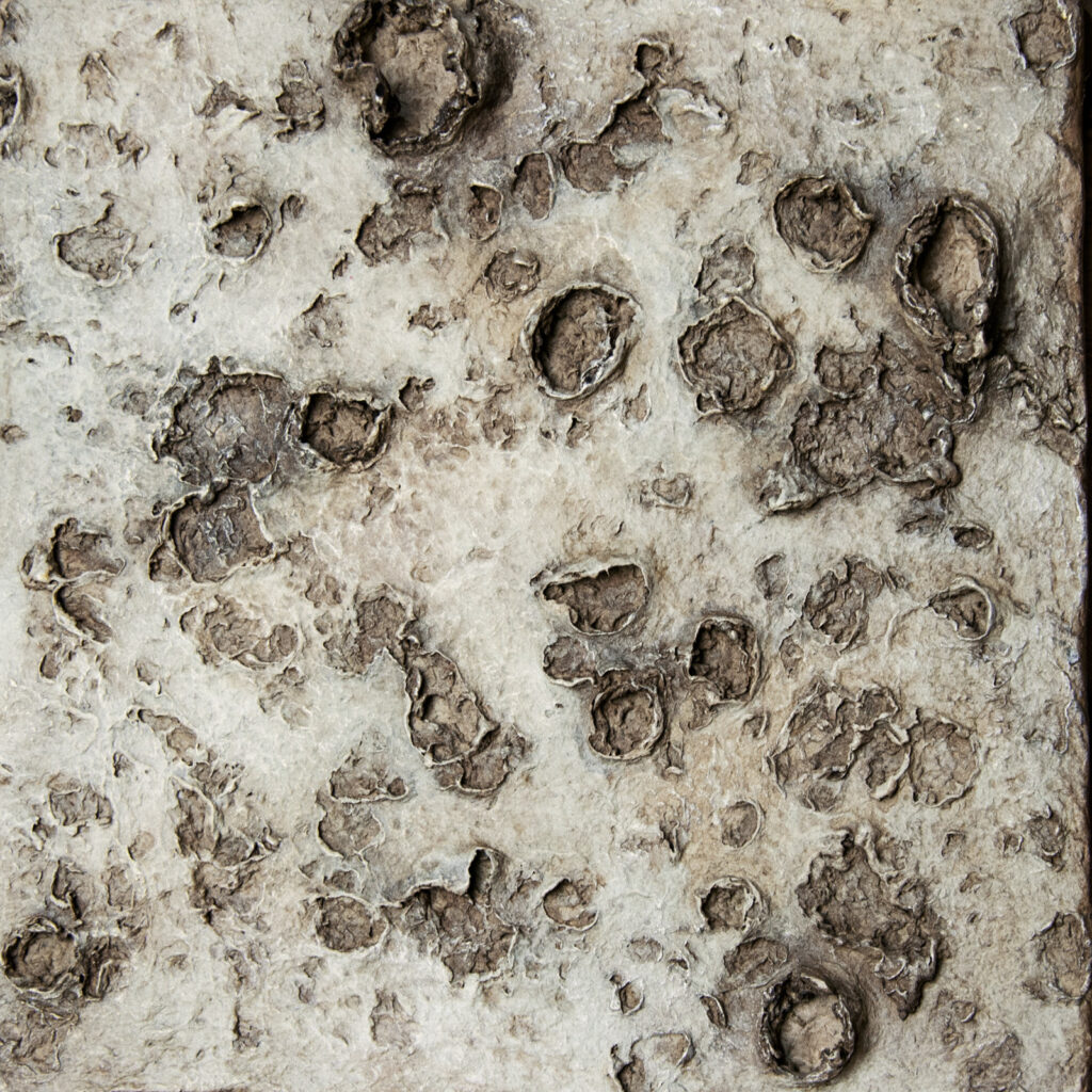relief evoking lunar textures and cosmic formations
