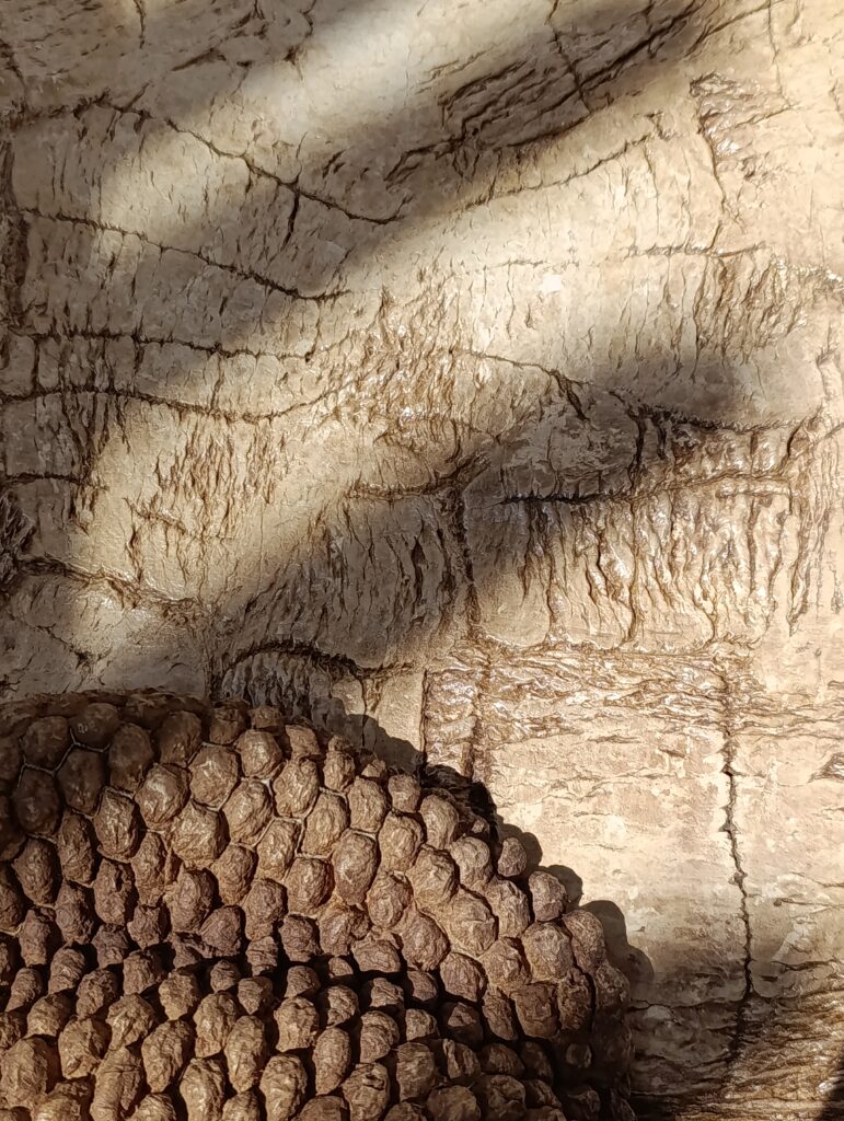 Sculptural relief interacting with natural light across textured surfaces.