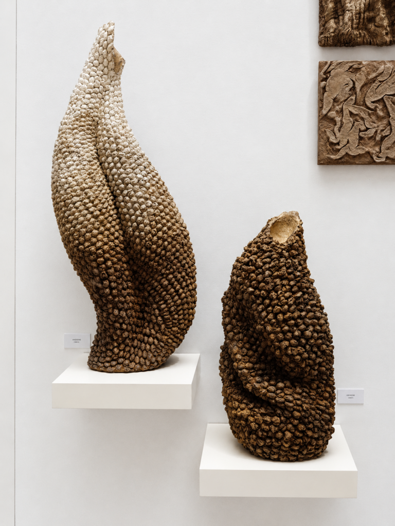 Contemporary design exhibition