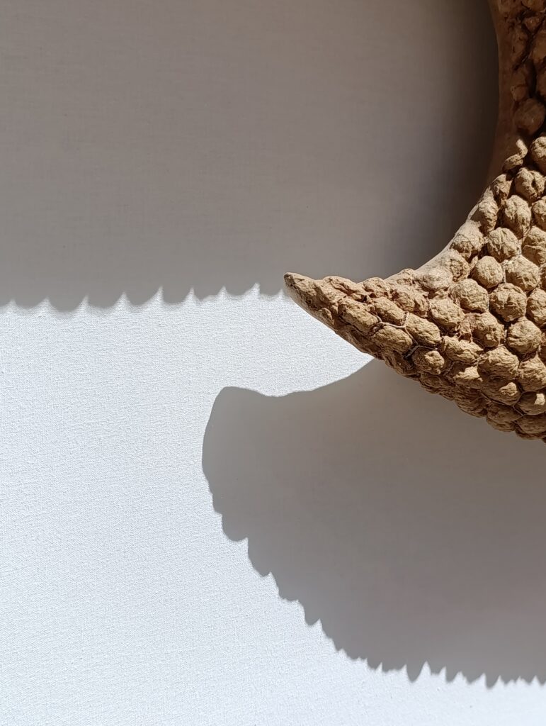 Sculptural relief interacting with natural light across textured surfaces.