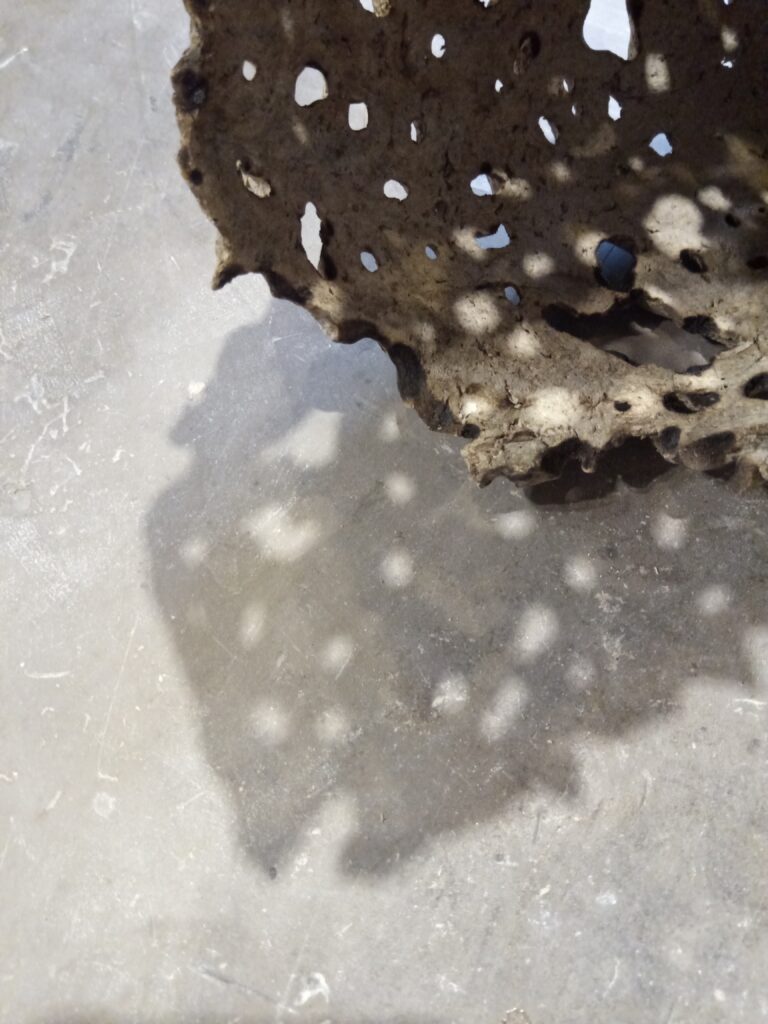 Textured sculptural surface revealing material depth through light.