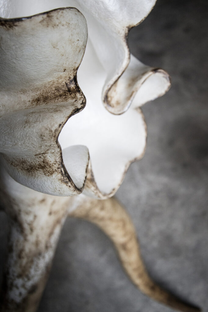 Organic sculptural relief inspired by fictional terrains.