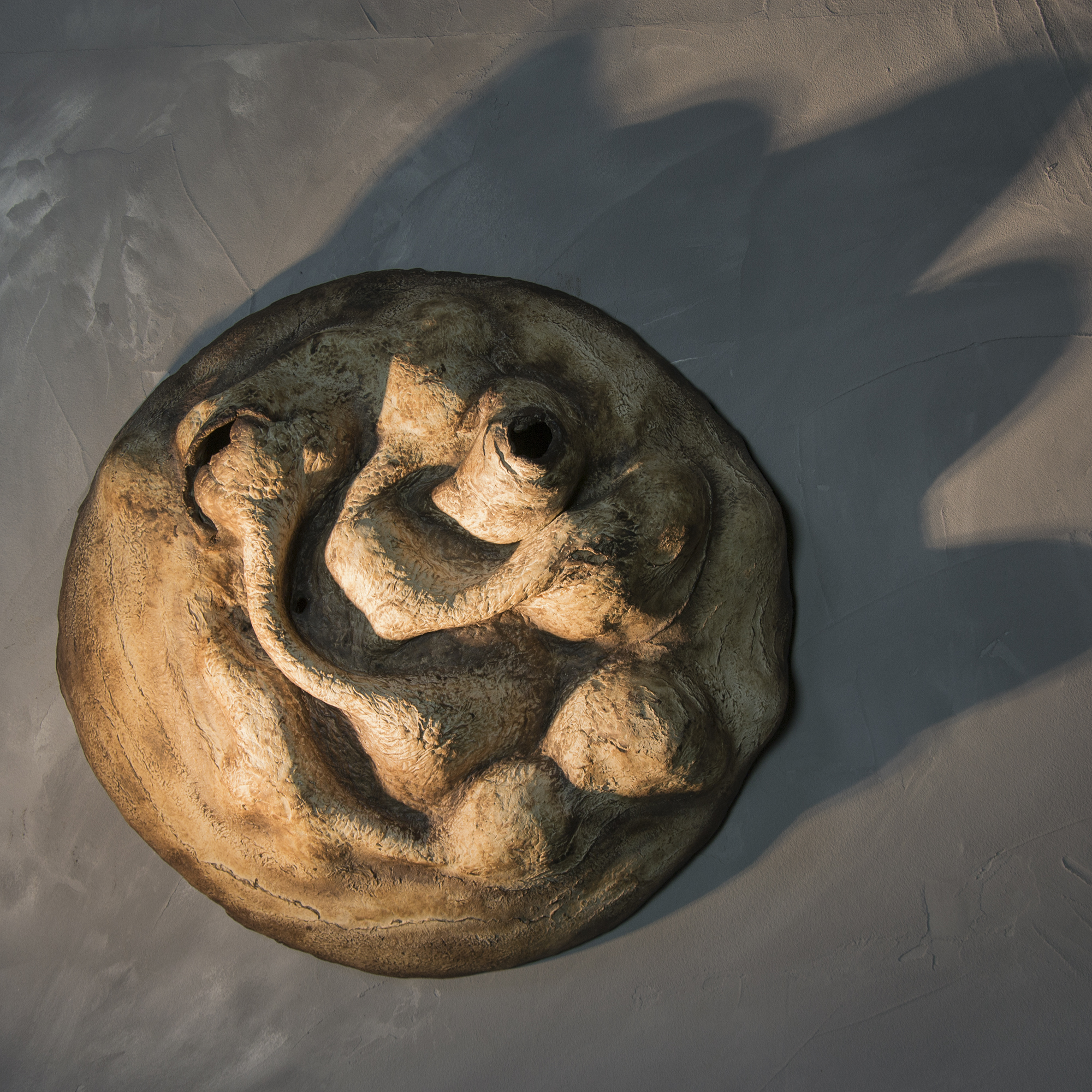Textured sculptural surface revealing material depth through light.